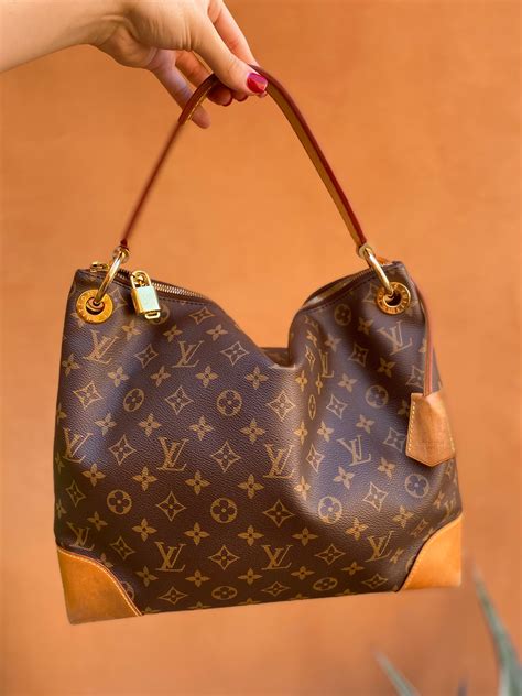 Louis Vuitton Monogram Berri PM 